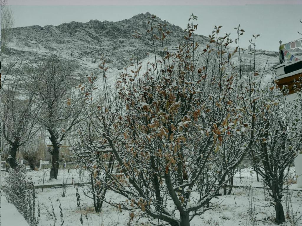 Sernang Homestay Hundar Exteriér fotografie