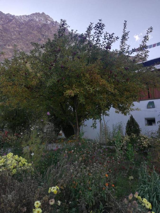 Sernang Homestay Hundar Exteriér fotografie