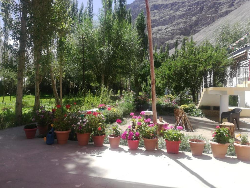 Sernang Homestay Hundar Exteriér fotografie